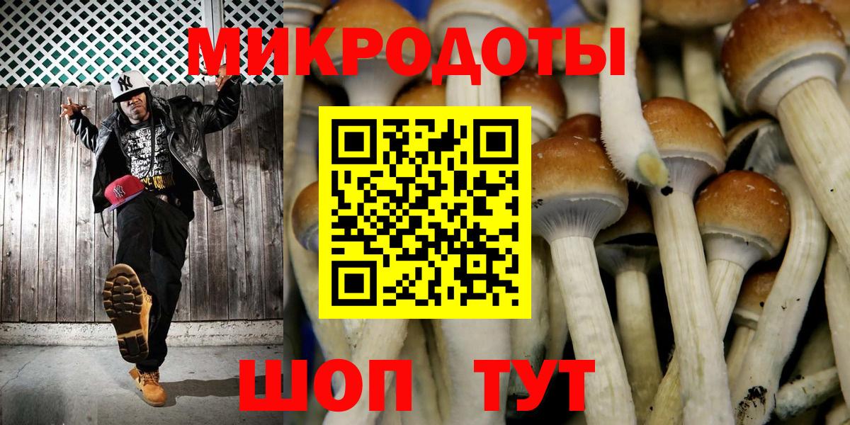 Галлюциногенные грибы GOLDEN TEACHER  Вход с VPN  Заволжье  Галлюциногенные грибы мицелий 