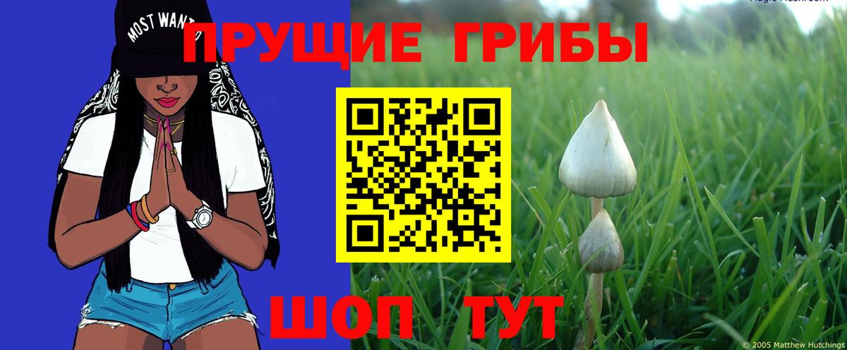 Псилоцибиновые грибы ЛСД Заволжье